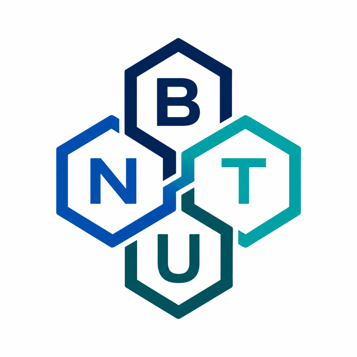 Bharat NextGen TechnoVision Udyog